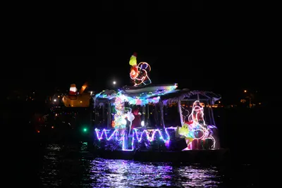 DSC_2542 (Large).JPG